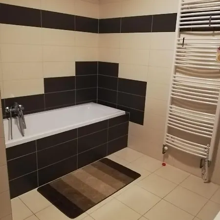 Anicka Apartment Nová Paka