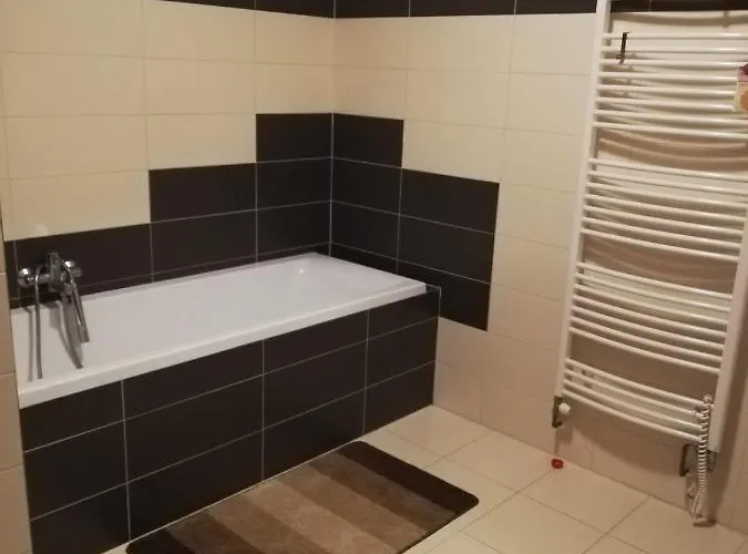 Anicka Apartment Nova Paka
